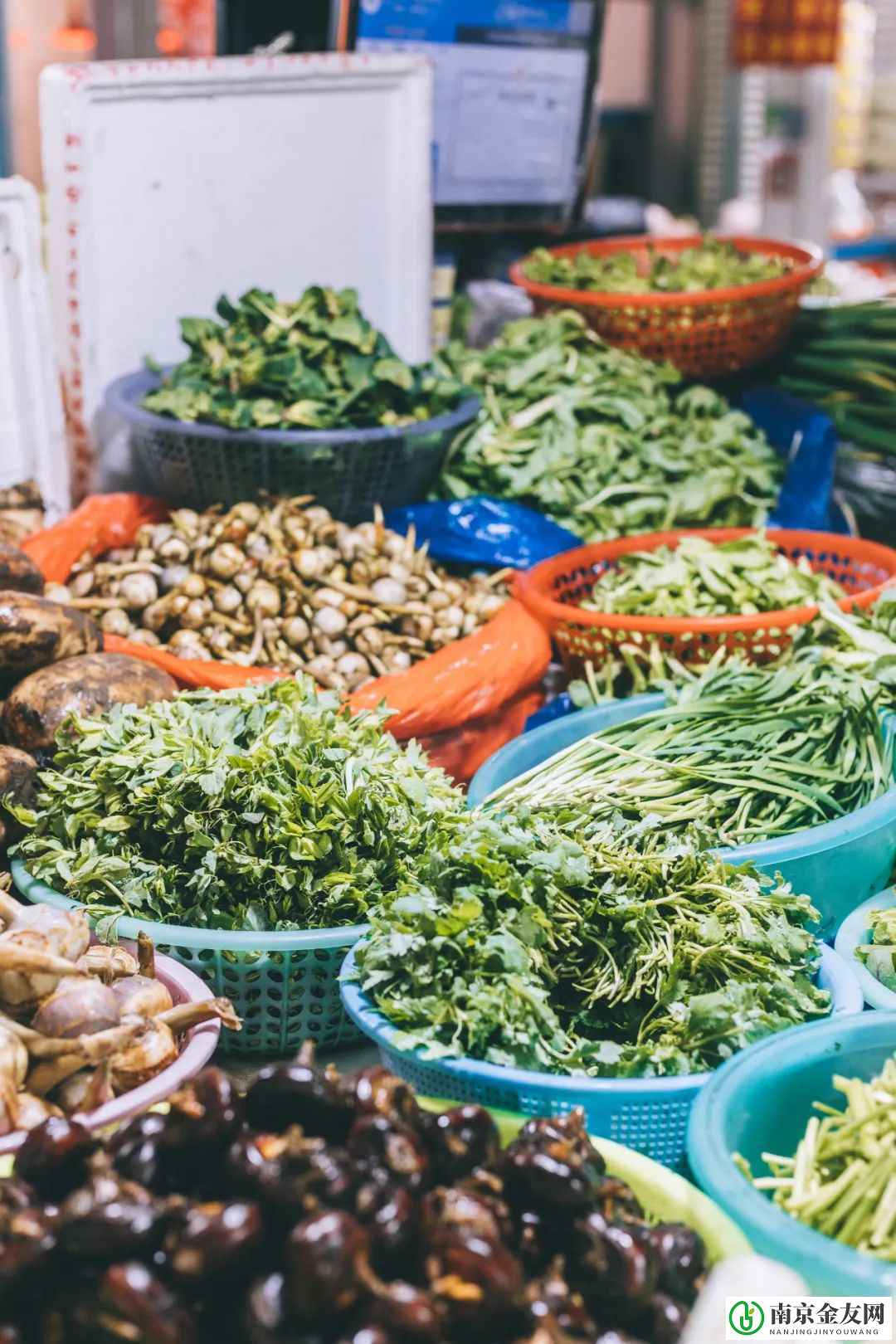 卷住南京的春天